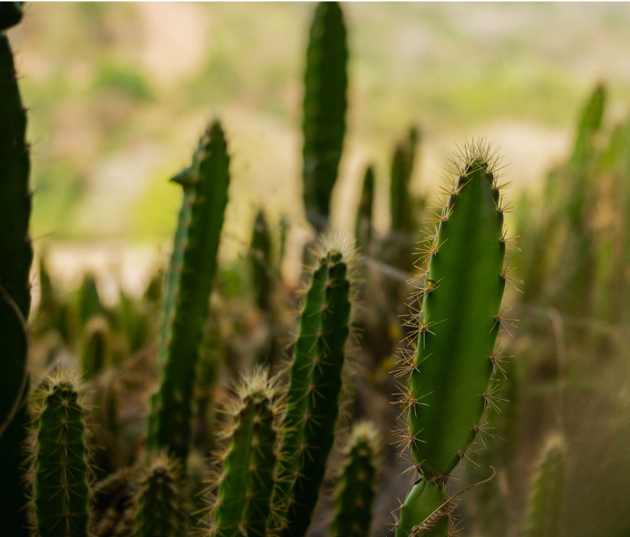 Trabajo de Kroma Studio